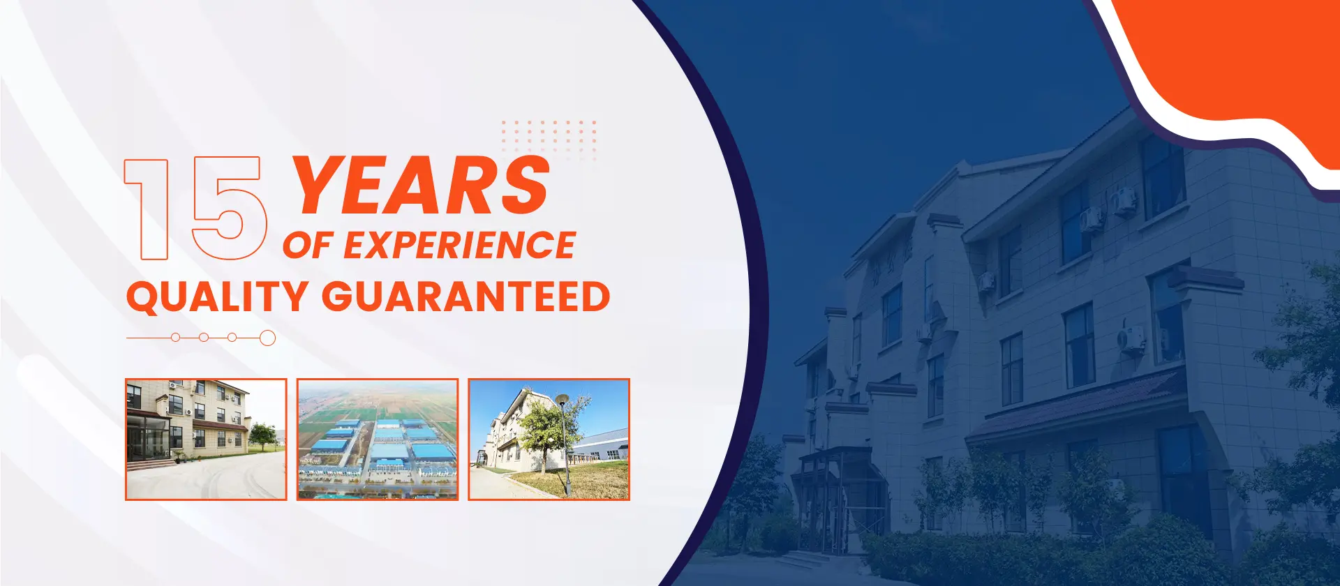 Plastic Gloves Disposable